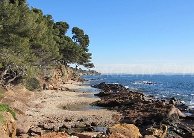 Dépôt Vente à Carqueiranne (83)