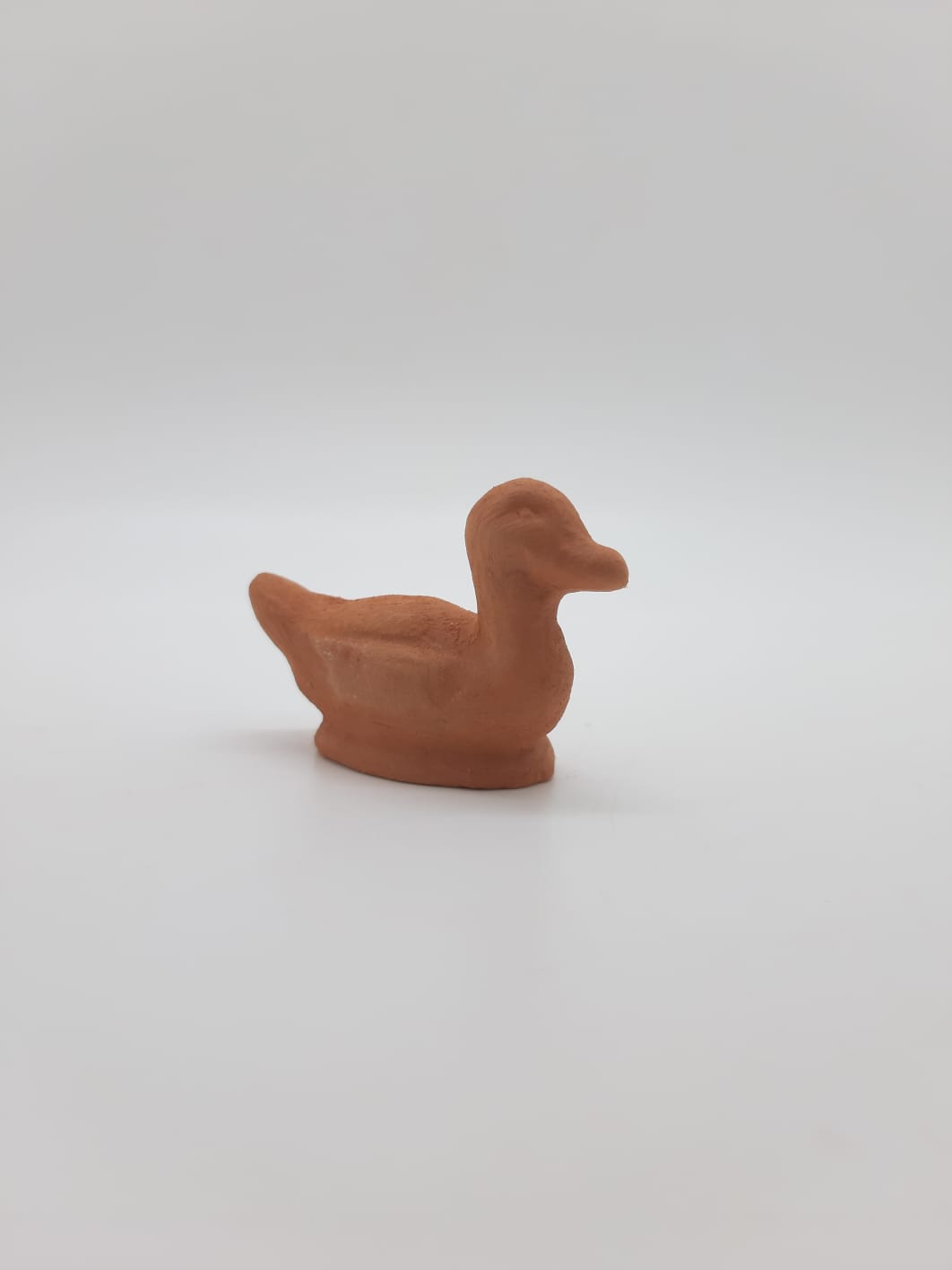 Canard