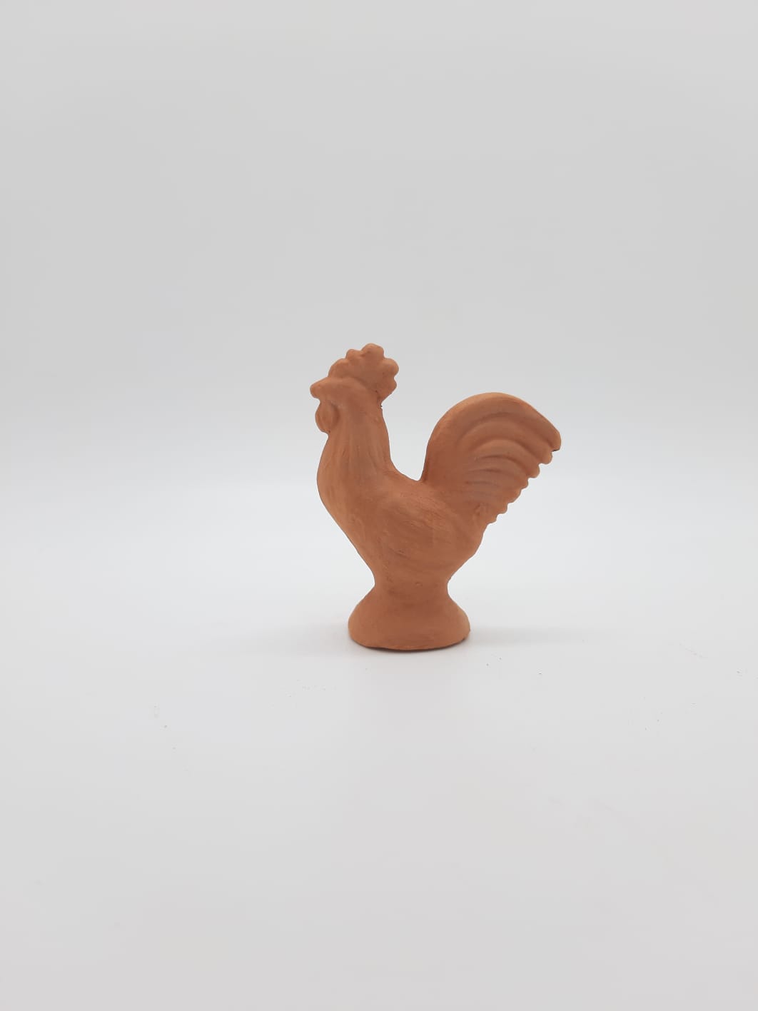 Coq